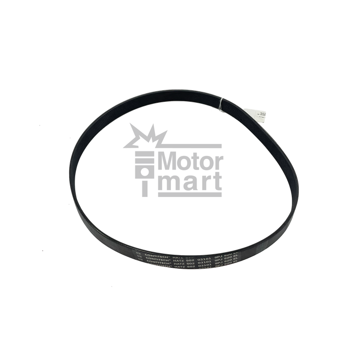 Banda poly - v 9Pj920 - h50203101-hatz